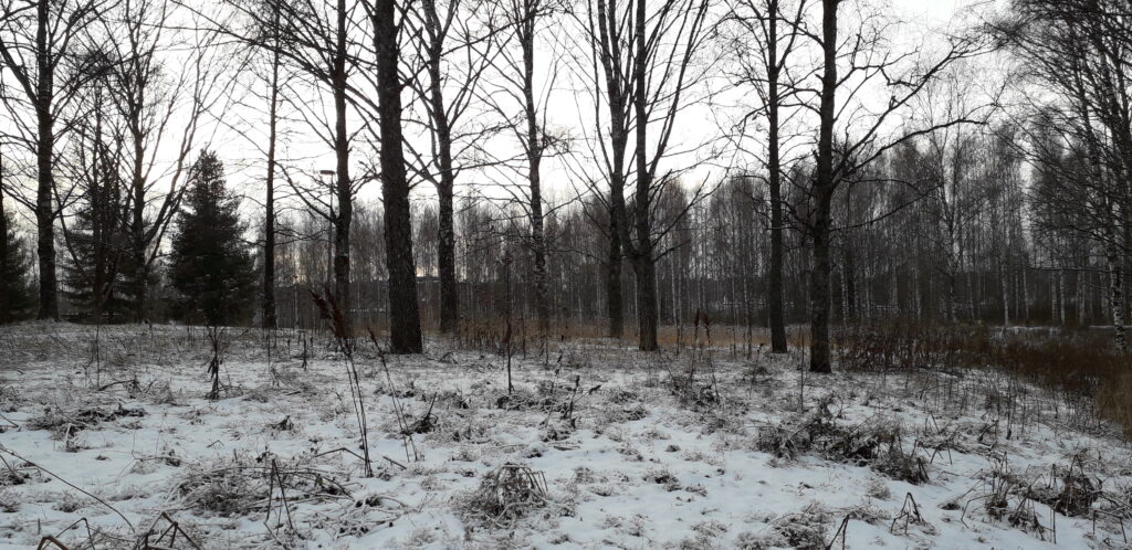 Talvinen valokuva Käänteenaronpuistosta.