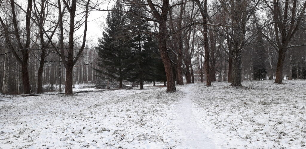 Valokuva talvisesta Käänteenaronpuistosta