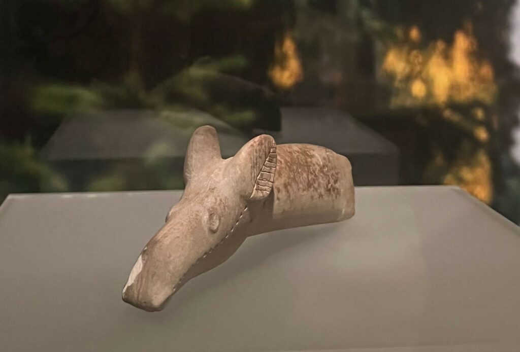 Kivikautinen hirvenpääkirveen hamaraosa Hämeen linnan näyttelyssä