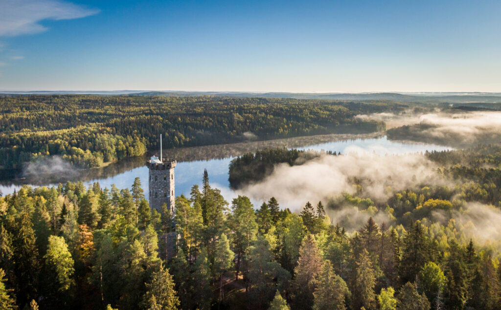 Usvainen näkymä Aulangon näkötornilta.