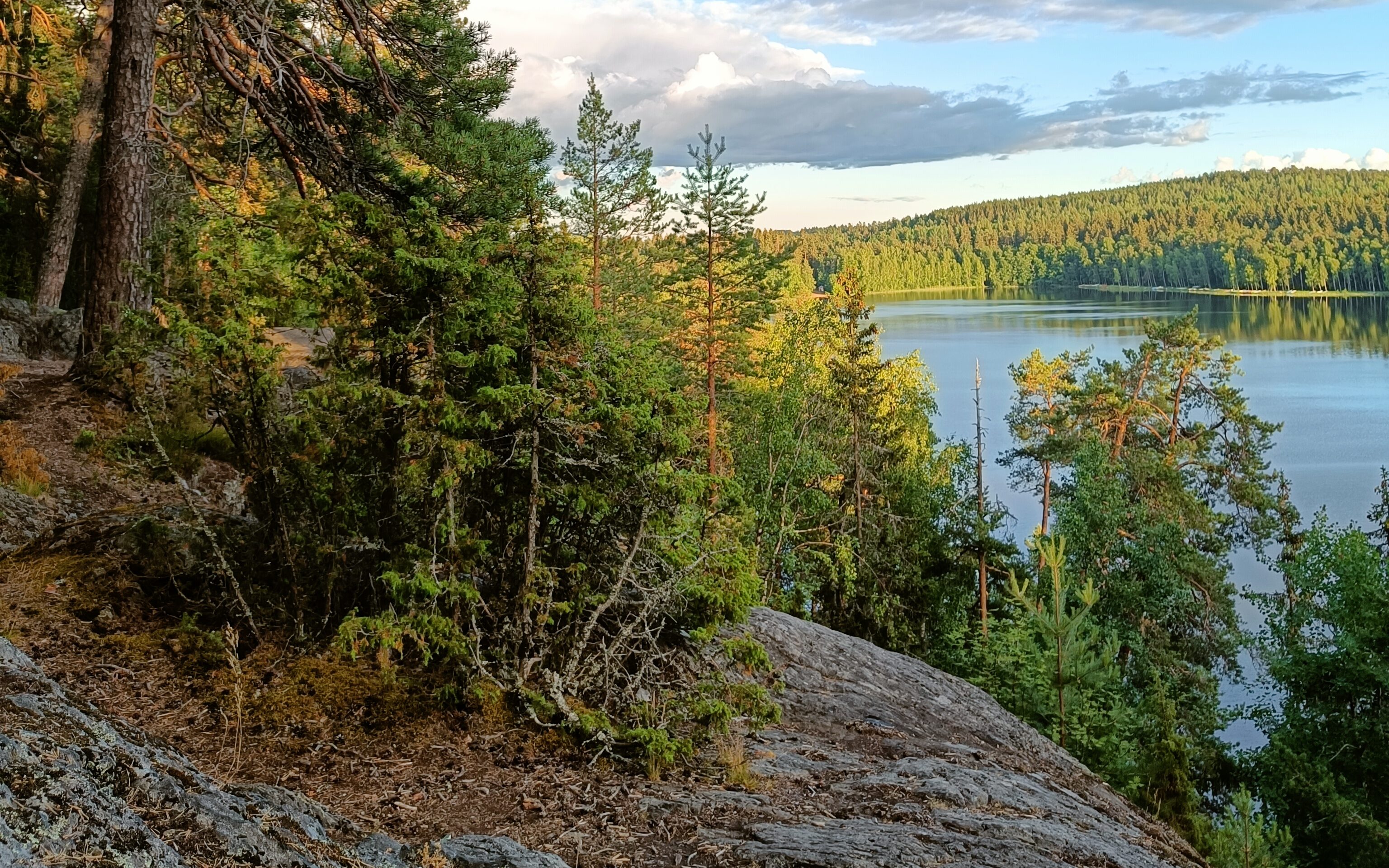 Kuva Aulangolta Sibeliuksen metsän Käärmekalliolta