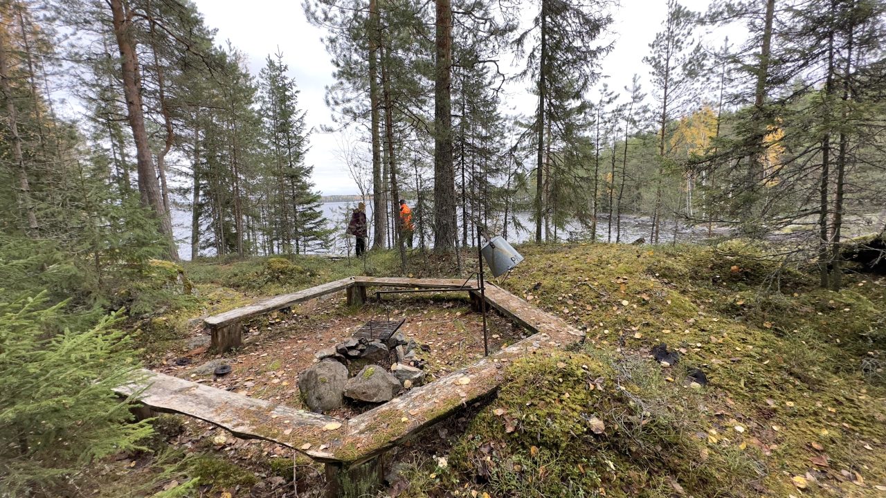 Puiset lankut muodostavat nuotiokehän metsässä.