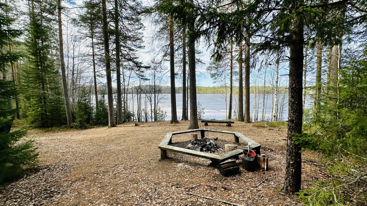 A campfire site in the forest. A frozen lake is visible in the foreground.