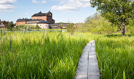 Hämeenlinnan rantareitin pitkospuut.