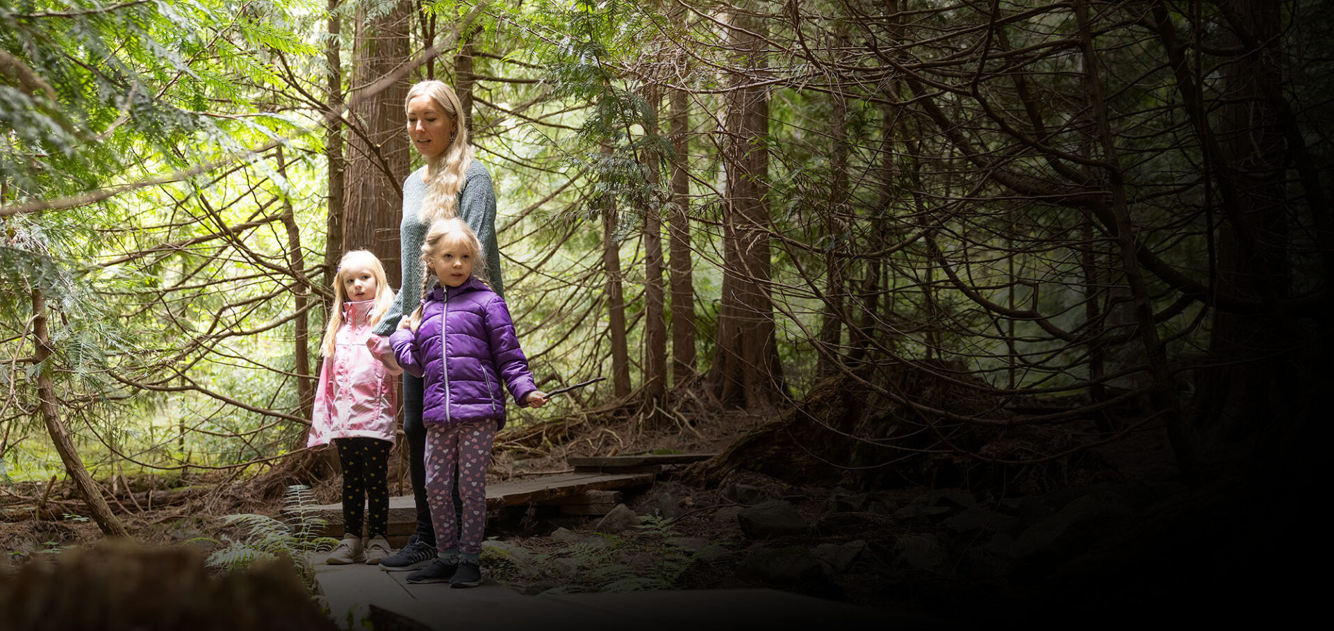 Lapsiperhe seikkailee aulangon tuijametsässä.