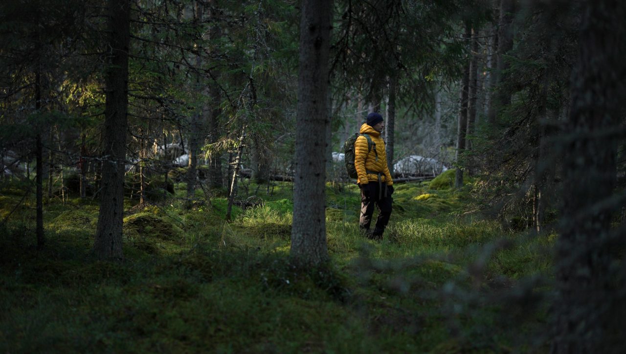 Mies seisoo metsässä, jossa sammal peittää maan.