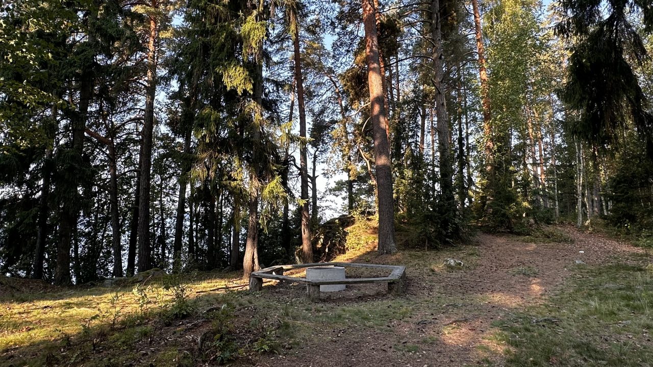 Metsän keskellä puinen nuotiokehä ja betonirengas.