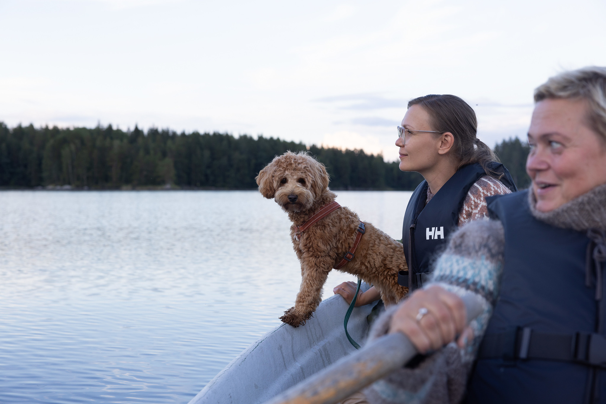 Kaksi ulkoilijaa ja koira soutavat järvellä.