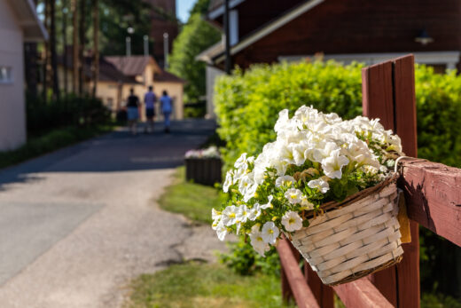 Flowers in a basket on Hauho's Wanha Raitti.