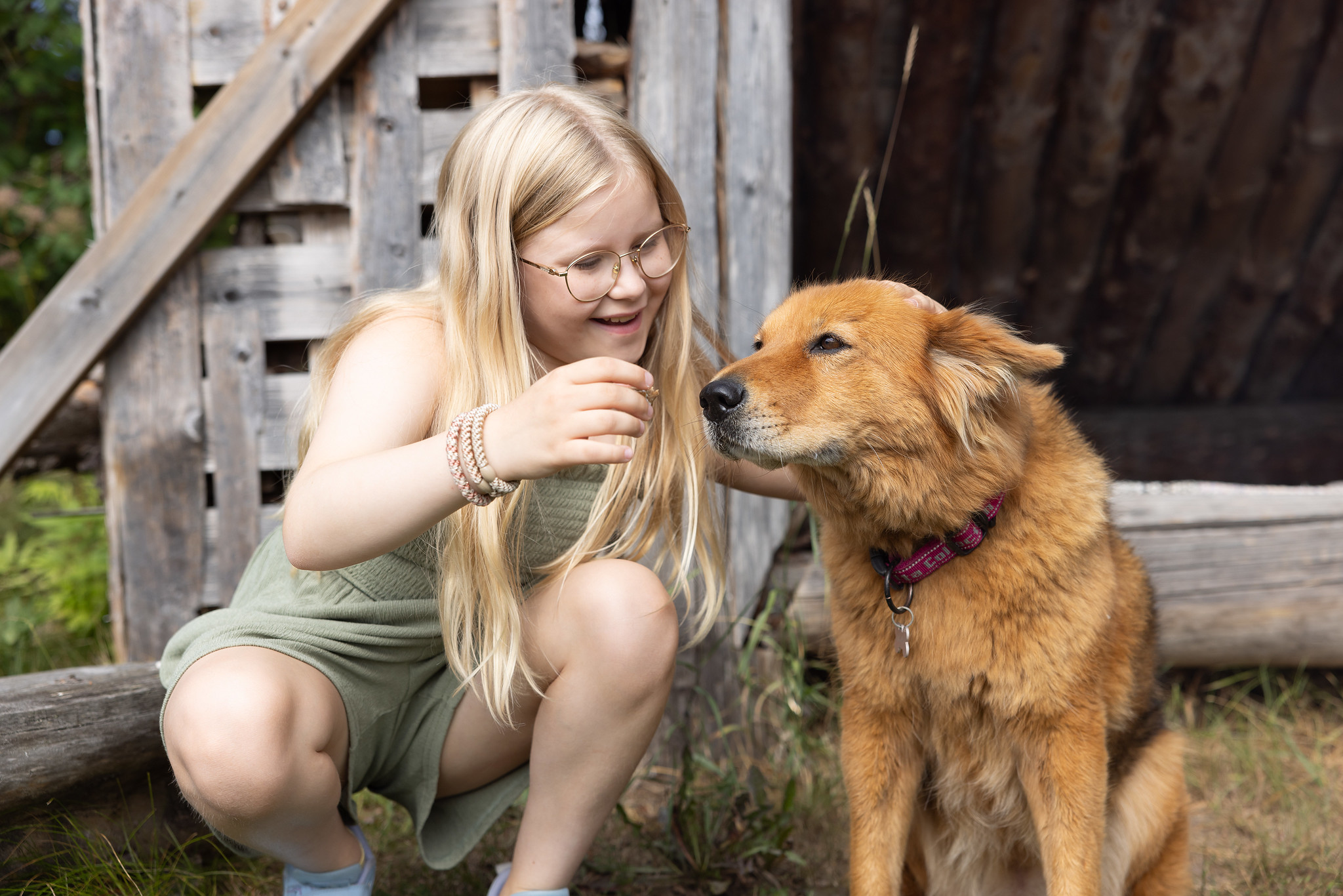 A child and a dog at a campfire site at Iloranta in Hauho.