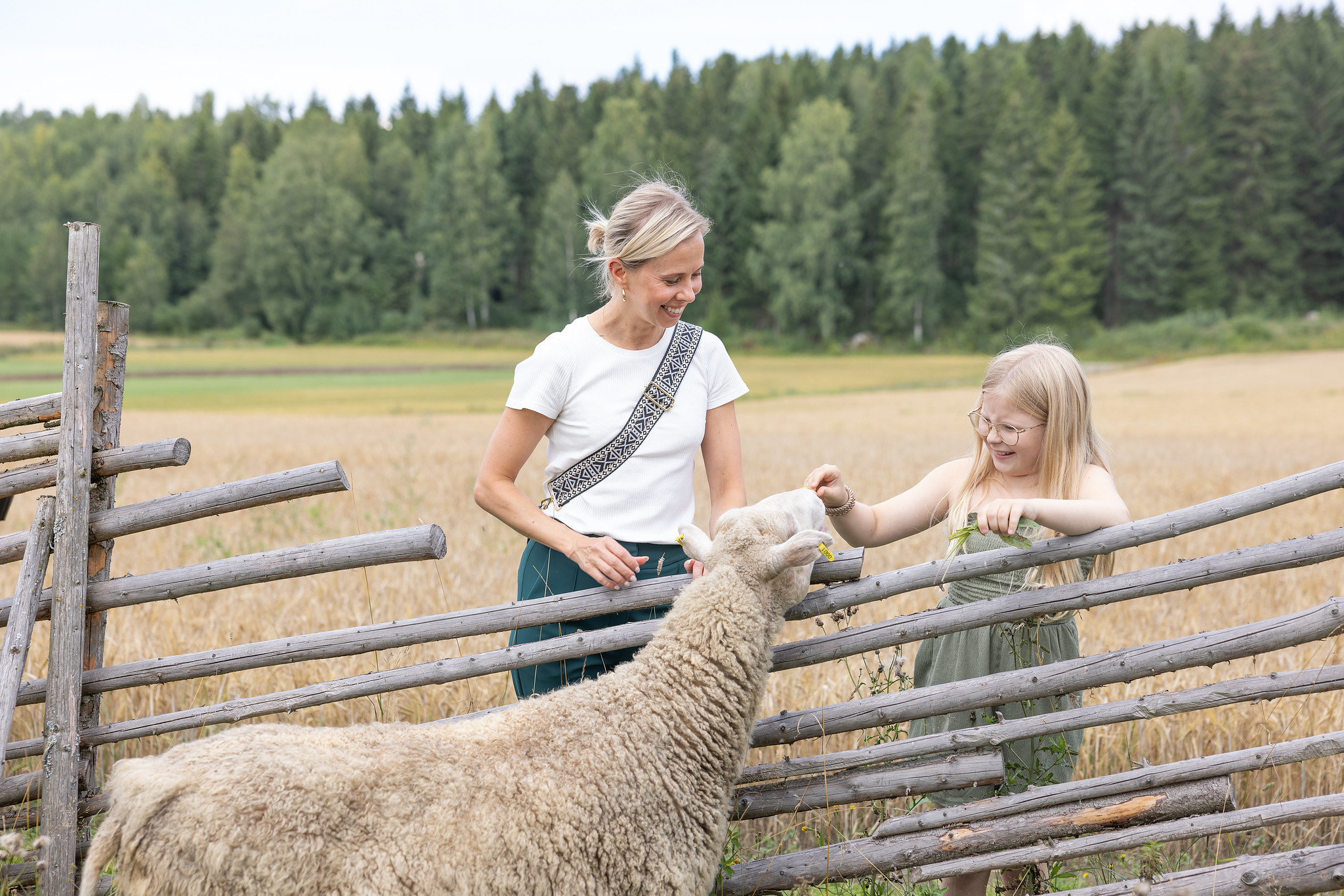 A child petting a sheep together with an adult in Iloranta, Hauho.