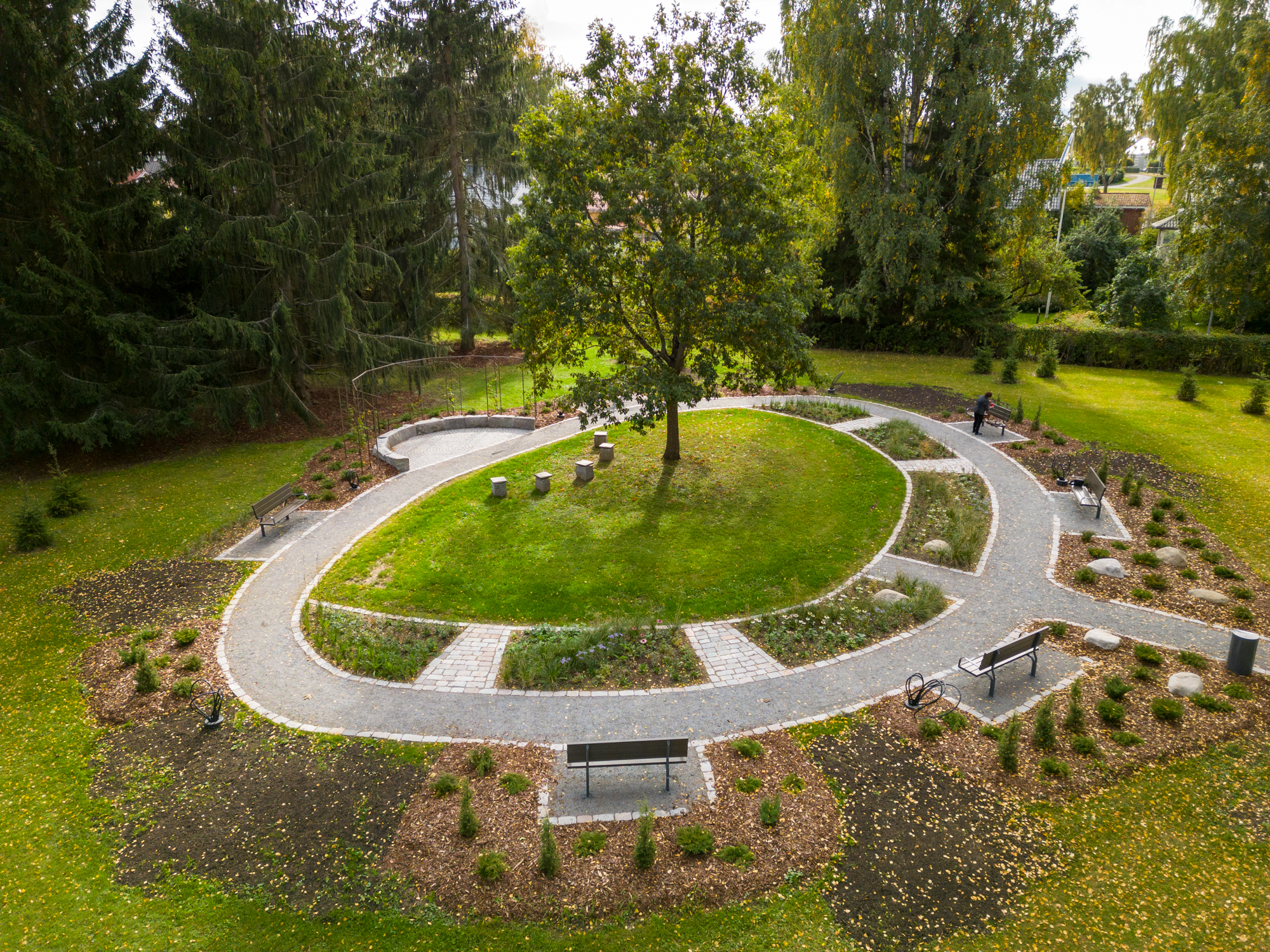 The area of Vexi Salmi Park, featuring benches and coniferous plantings