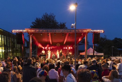 An outdoor event with many people with their backs to the camera and an illuminated stage with performers.