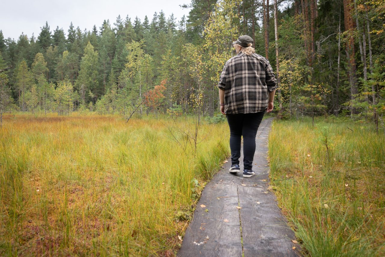 A person walking on a boardwalk on the Ahvenisto nature trail.