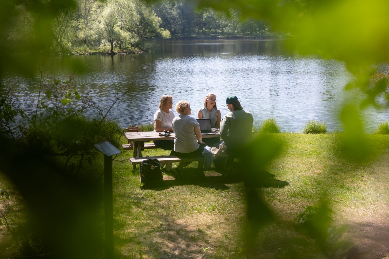 Neljä henkilöä istuu pöydän ääressä Aulangolla kesäisenä päivänä.
