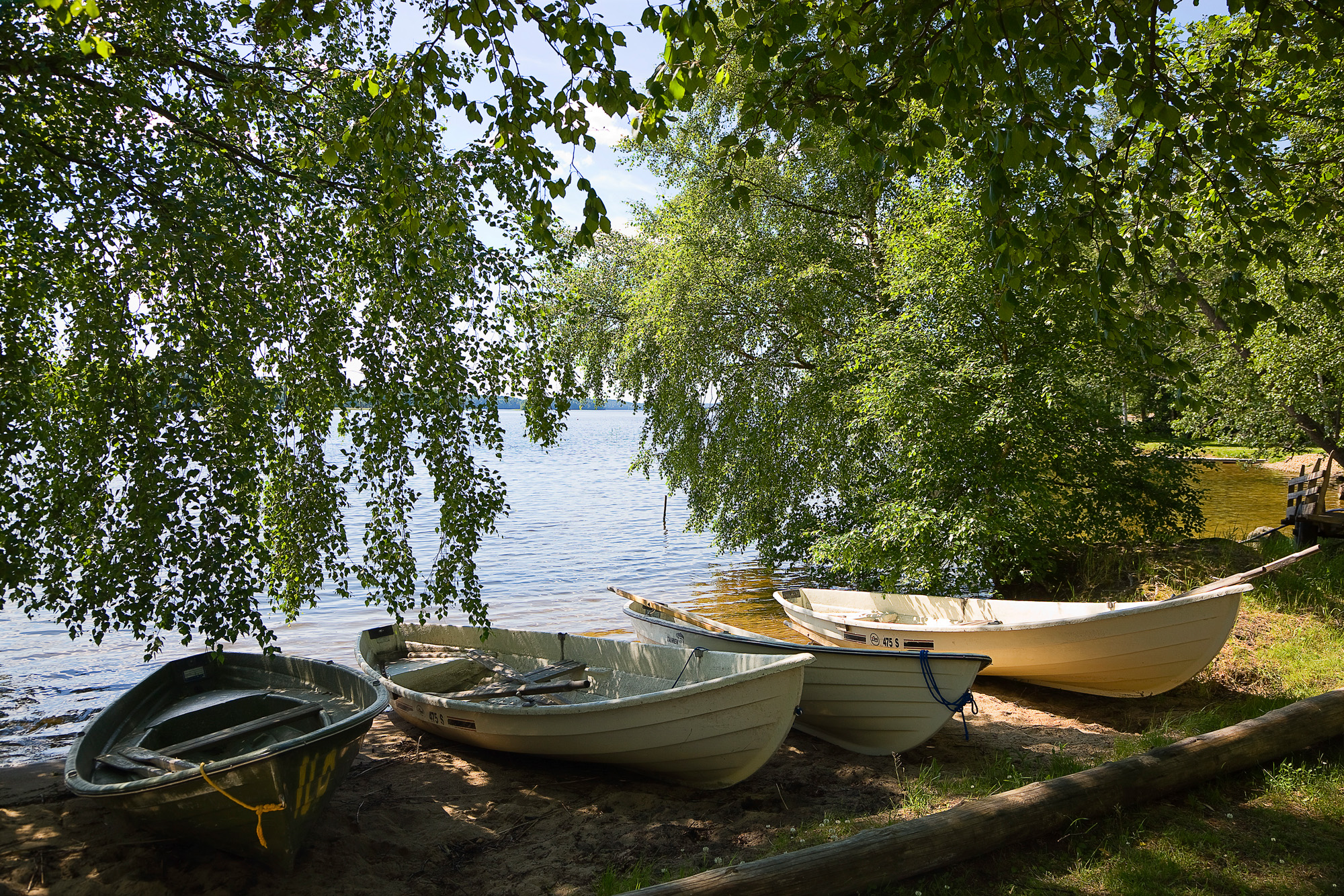 Rowboats pulled up in a landing spot.