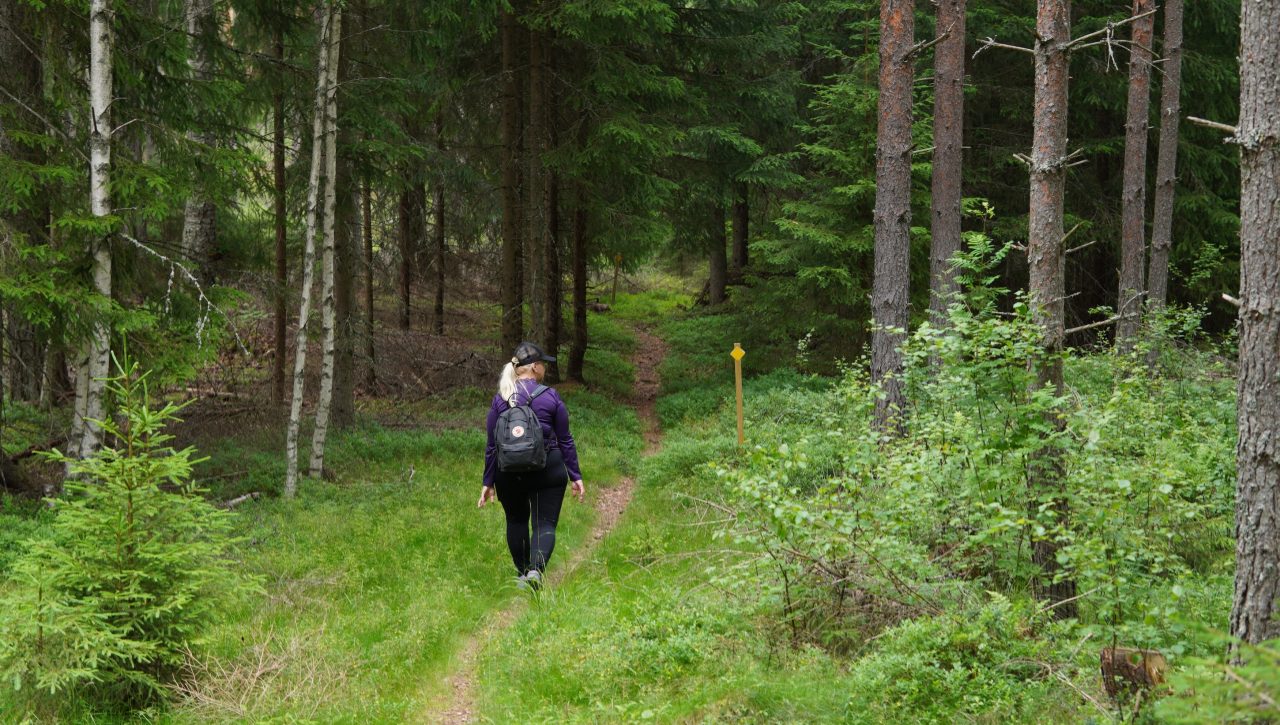 A woman walks along a path into the woods.