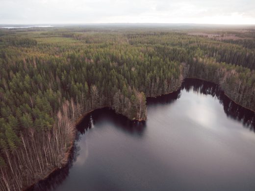 Aerial view with forest and lake. The shoreline forms an area shaped like a large bird's head and wings.