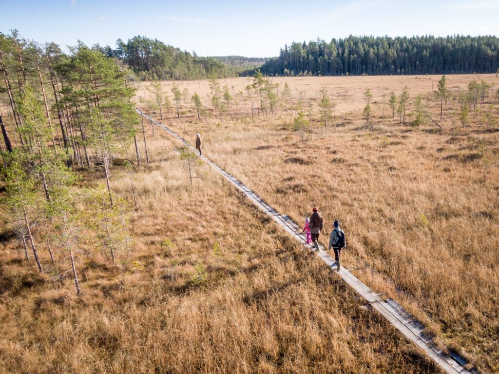perhe vaeltamassa Heinisuon pitkospuureitillä