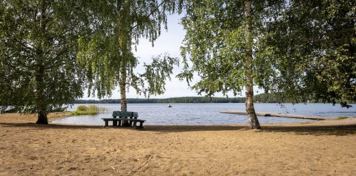Alajärvi Tervaniemen rannalta kuvattuna, rannalla puita, penkkejä ja laituri.