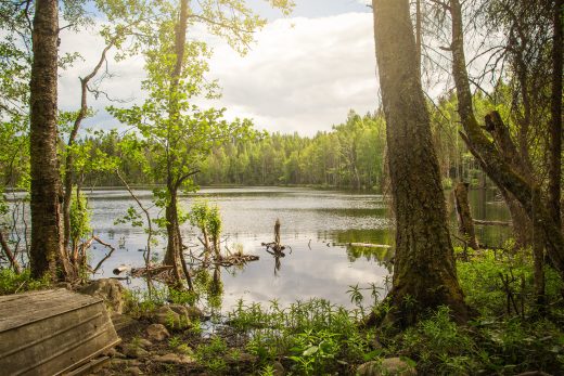 Forest-surrounded lake in Evo.