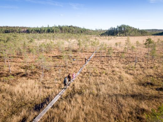 Hikers walking on boardwalks at Heinisuo in Renko.