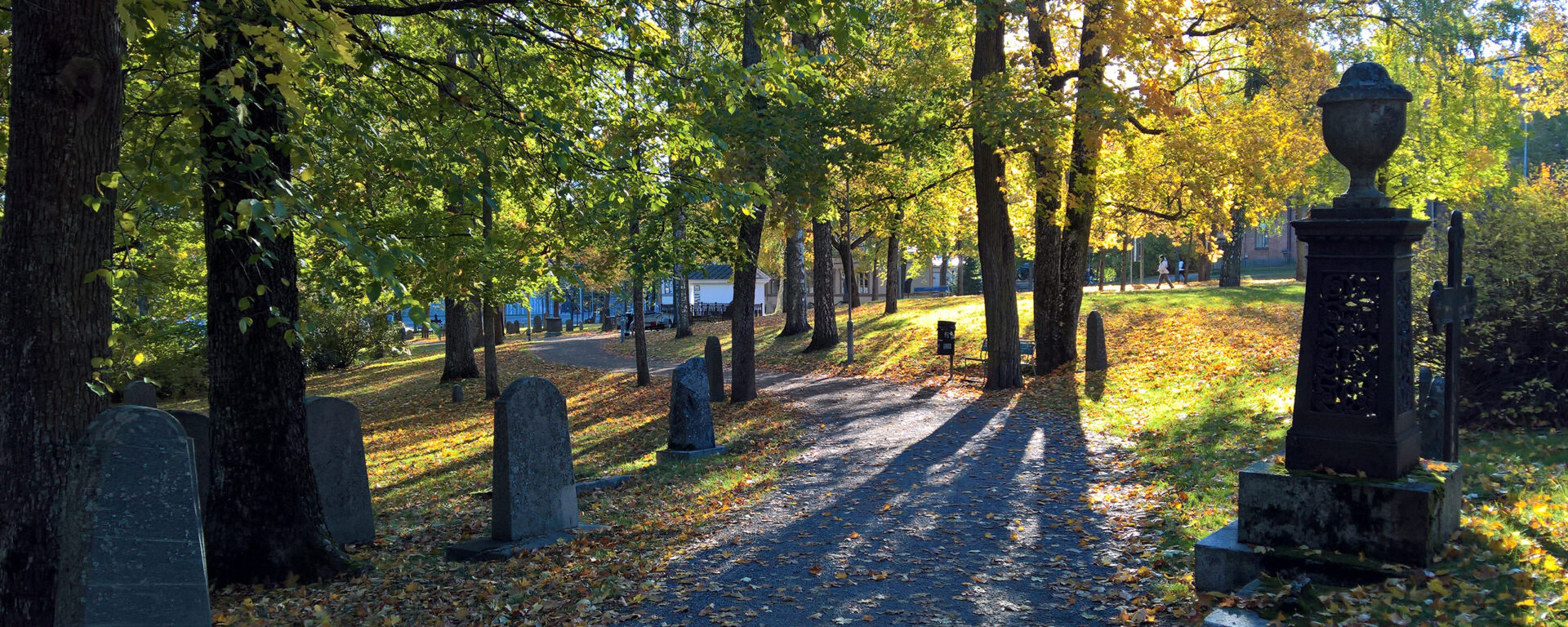 A path with gravestones in the Old Cemetery Park.