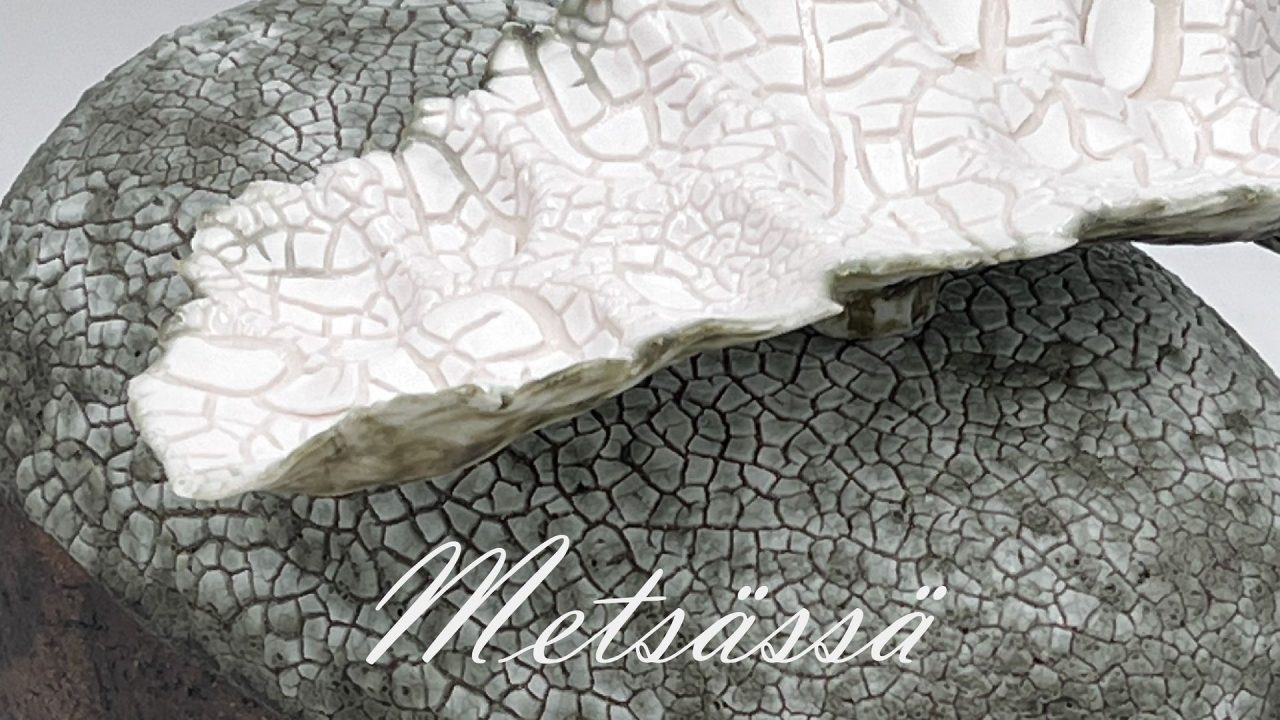 Metsässä