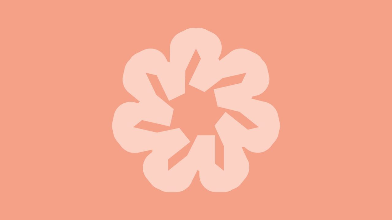 Luontotaidekerho Hämeenlinnassa