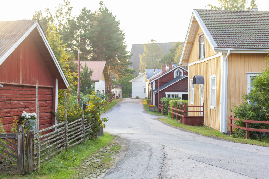 Vanhat talot reunustavat Hauhon vanhaa raittia