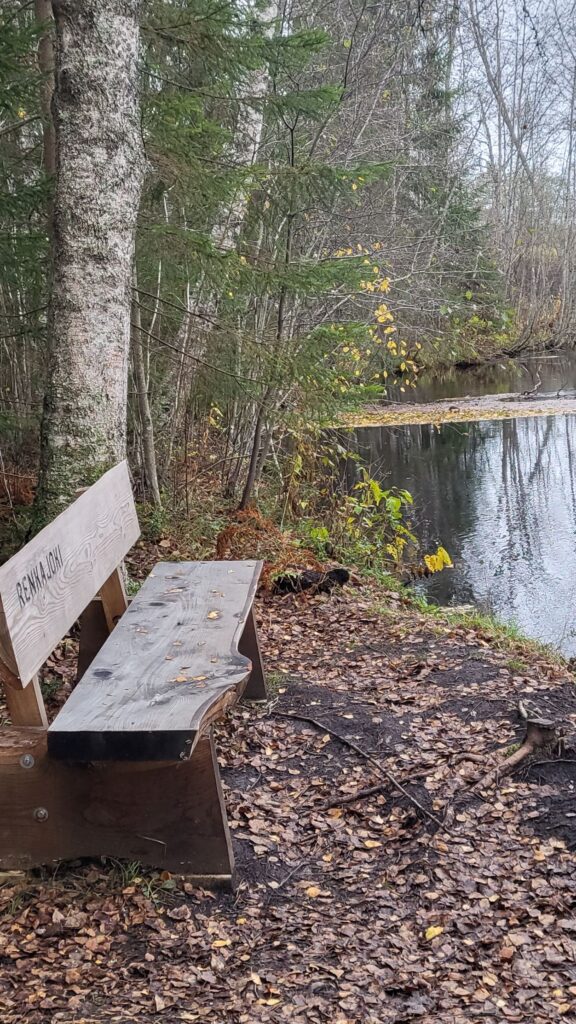 Puinen penkki järven rannalla.